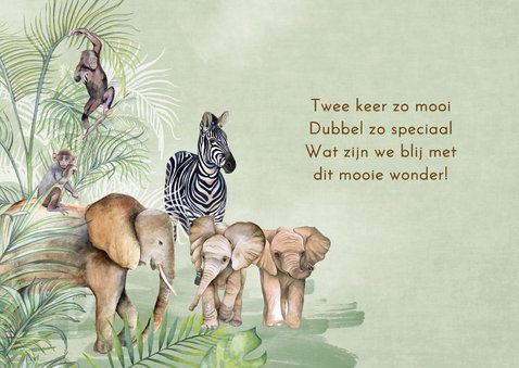 Geboortekaartje geboorte tweeling jungle  2