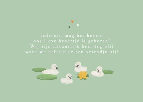 Geboortekaartje groot gezin zwanen lief lente broertje zusje 2