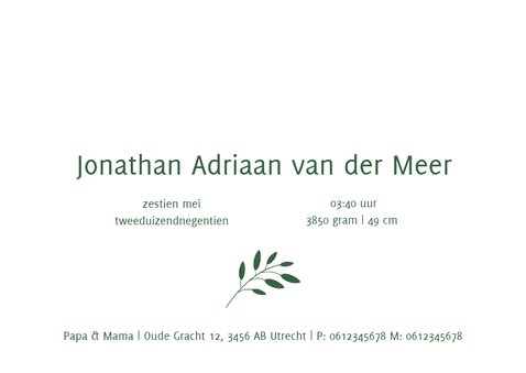 Geboortekaartje in botanische stijl in chic donkergroen 3