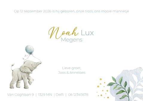 Geboortekaartje jongen met olifantje en ballon 3