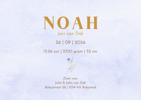 Geboortekaartje jongetje met vintage konijntje met bloemen 3