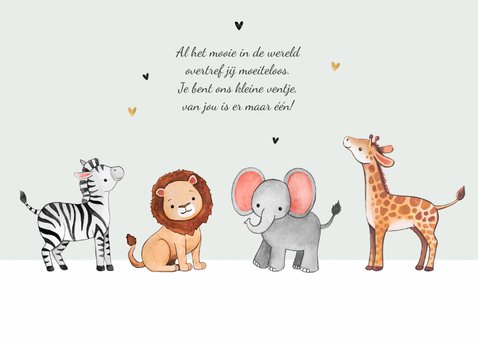 Geboortekaartje jungle dieren olifant zebra giraf leeuw 2