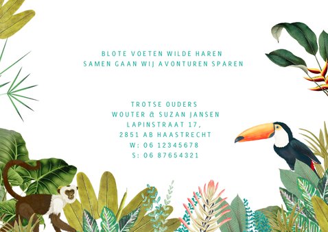 Geboortekaartje jungle met toucan en aapje 3