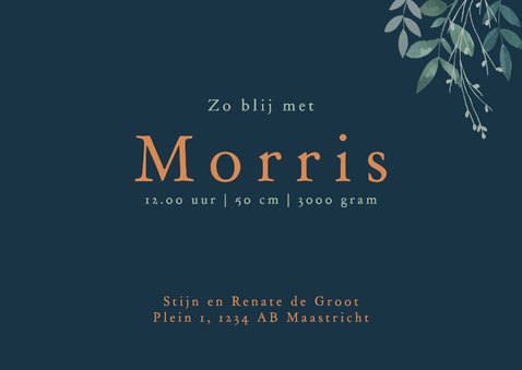Geboortekaartje koperkleurige olifantje met takjes 3