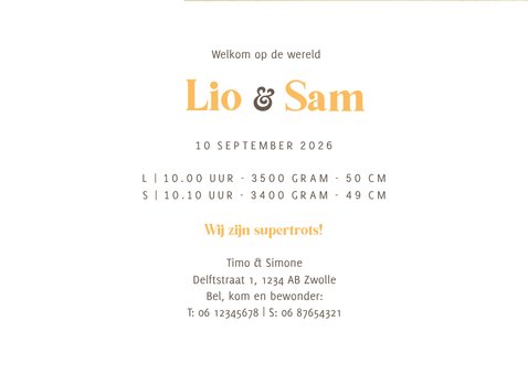 Geboortekaartje lente tweeling kuikentjes modern foto hartje 3