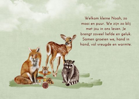 Geboortekaartje leuke bosdieren  2