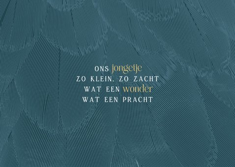 Geboortekaartje liggend stijlvol blauw met veren 2