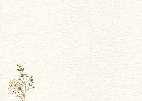 Geboortekaartje meisje groot gezin met beren familie Achterkant