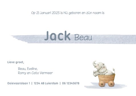 Geboortekaartje met drie olifantjes in een vrolijke stoet! 3