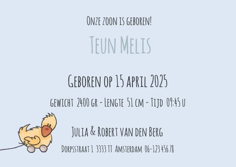 Geboortekaartje met jongetje en knuffels 3