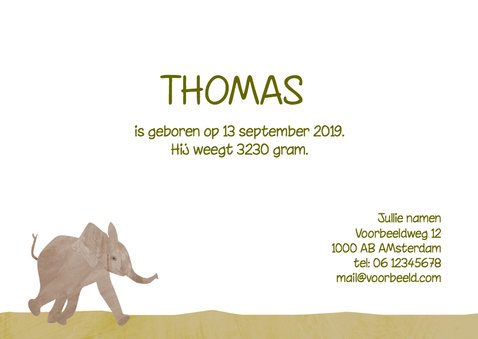 Geboortekaartje olifant jongen 3