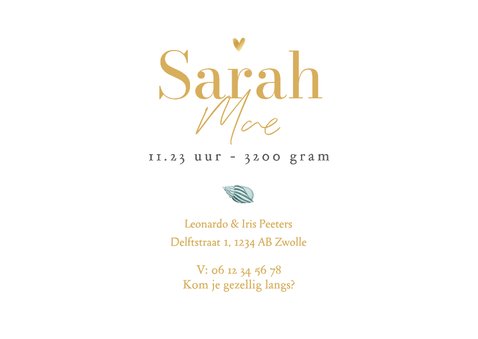 Geboortekaartje onderwater schildpad strand zee goud 3