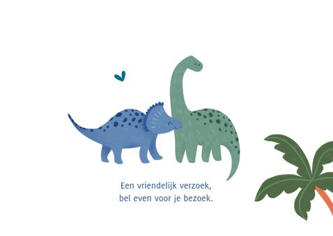 Geboortekaartje tweeling dino 2