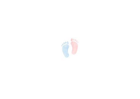 Geboortekaartje tweeling jongen meisje voetjes en foto's Achterkant