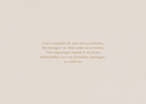 Geboortekaartje tweeling jongens eendjes illustratie 2