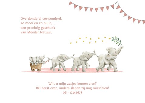 Geboortekaartje tweeling meisjes met olifantjes 2