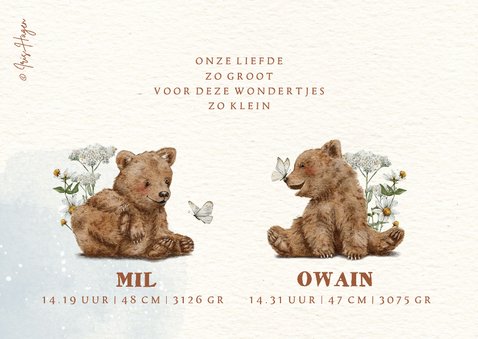 Geboortekaartje tweeling met beertjes en vlinders in bloemen 2