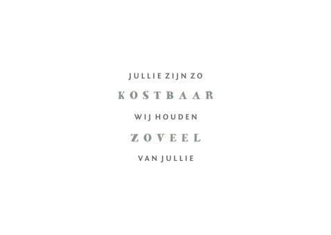 Geboortekaartje tweeling olifantjes met hartjes 2