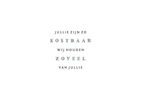 Geboortekaartje tweeling olifantjes met hartjes 2