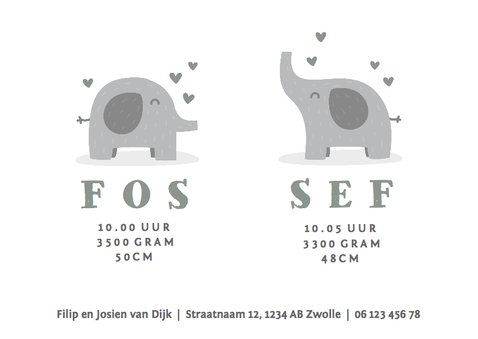 Geboortekaartje tweeling olifantjes met hartjes 3