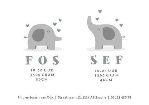 Geboortekaartje tweeling olifantjes met hartjes 3