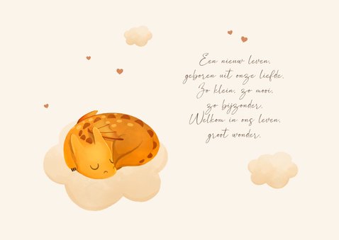 Geboortekaartje unisex draakje wolkje hartjes koper 2