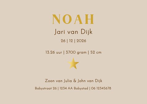 Geboortekaartje vintage hobbelpaardje 3