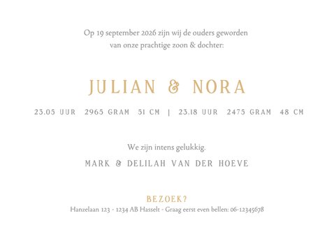 Geboortekaartje voor een tweeling twee gouden olifantjes 3