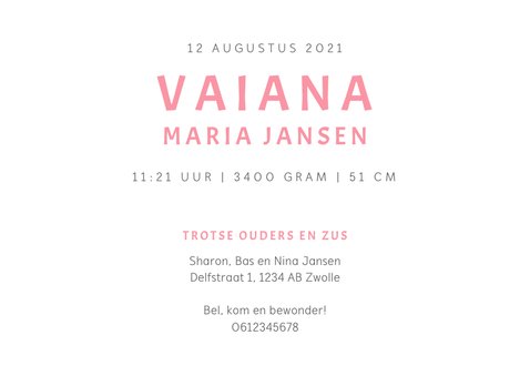 Geboortekaartje zusje lief met olifantjes 3