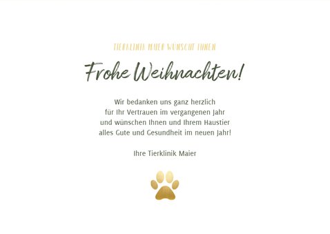 Geschäftliche Weihnachtskarte für Tierklinik oder Tierarzt 3