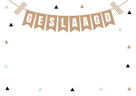 Geslaagd kaart slinger foto driehoekjes 2