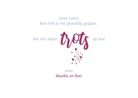 Geslaagd Propedeuse met naam studie 3