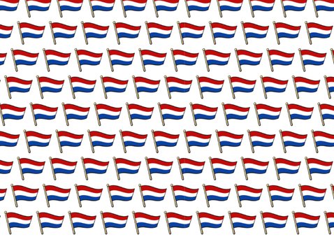 Geslaagd - vlag met ruimte voor naam 2