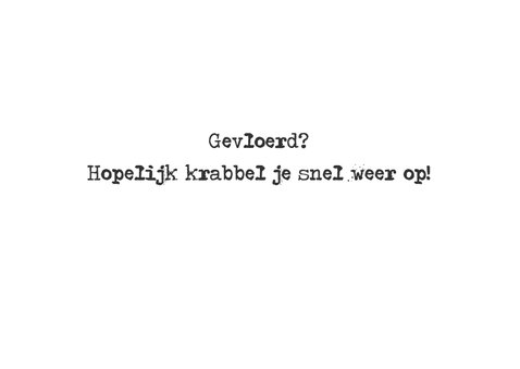 Gevloerde puppy 3