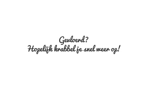 Gevloerde puppy 3
