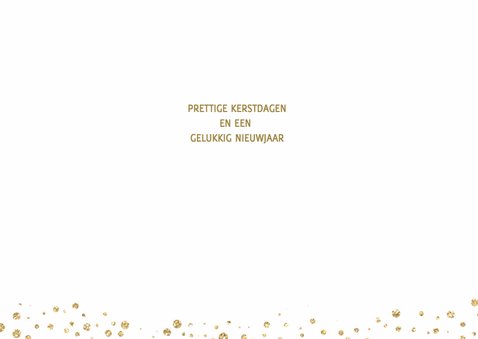 Goud stippen glitter 3