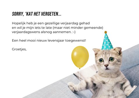 Grappig verjaardagskaartje te laat kat met ballon en hoedje 3