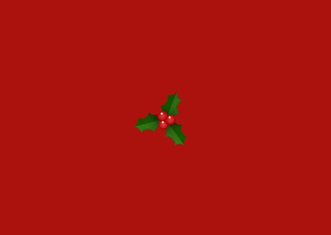 Grappige kerstkaart - maak een kerstelf van jezelf - 4 pers Achterkant
