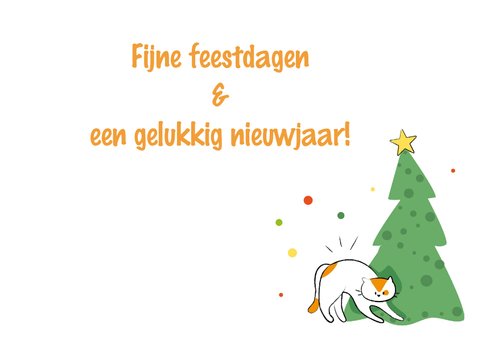 Grappige kerstkaart met kat in kerstlichtjes oeps 3