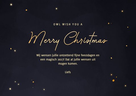 Grappige kerstkaart owl wish you uiltjes met maan 3