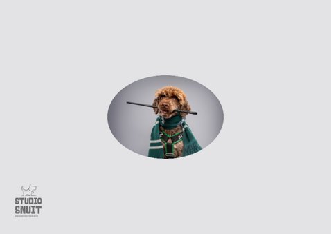 Grappige leuke, verjaardagskaart van hond in toverpakje 2