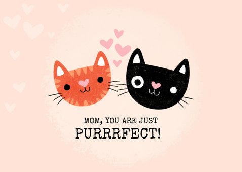 Grappige moederdag kaart katten mom you are just purrrfect! 2