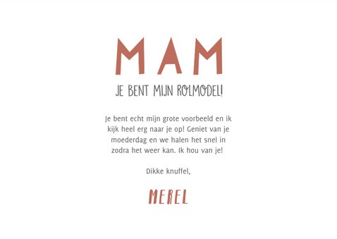 Grappige moederdag kaart wc rol, hartjes en eigen foto 3