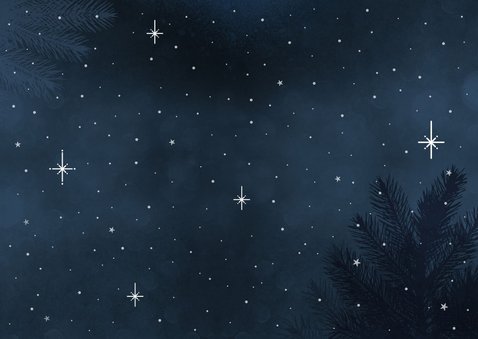 Grappige nieuwjaarskaart met teckel met lampjes en cadeau's Achterkant