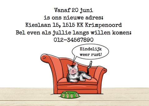 Grappige verhuiskaart met poes op bankje 3
