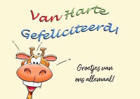 Grappige verjaardagskaart met dieren die muziek maken 2