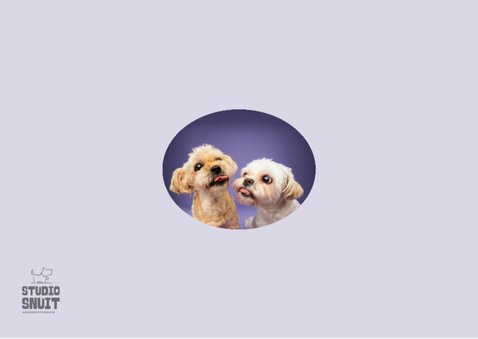 Grappige wenskaart met twee kussende boomer hondjes 2