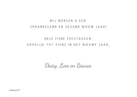 Grappige zakelijke kerstkaart beautysalon 3
