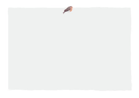 Grijsgroen geboortekaartje met getekend rendier en eekhoorn Achterkant