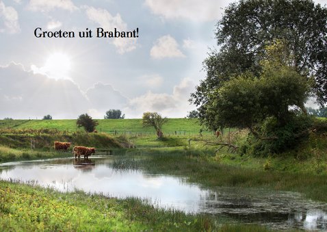 Groeten uit Brabant - Vakantiekaarten | Kaartje2go